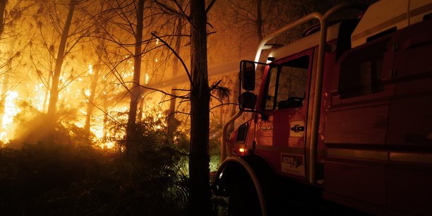 66.000 hectares sont partis en fumée en France au cours de l'été 2022.