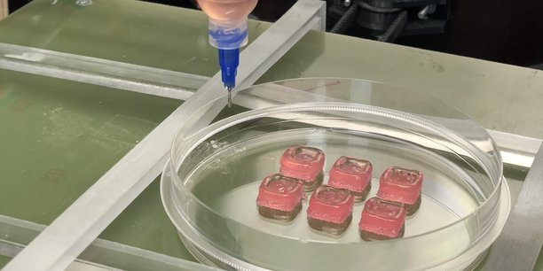Grâce à son procédé de bioimpression 3D des hydrogels cellularisés, le projet lyonnais Genesis (ex MyTissue) espère réduire à la fois le temps de fabrication (qui prend 7 jours au lieu des 21 minimum avec la bioimpression classique) mais surtout aboutir à un premier modèle d'organe déjà vascularisé.