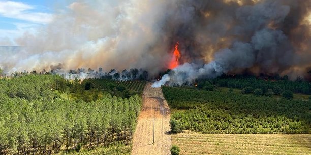 Le feu de Landiras progresse de manière très virulente et a déjà brûlé 6.000 nouveaux hectares de forêt en 24 heures à la frontière de la Gironde et des Landes.