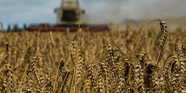 Ukraine: les exportations de cereales pour 2022-2023 en recul de plus de 50%[reuters.com]