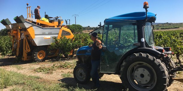 Le millésime 2022 affiche une précocité record : pour la première fois en Languedoc, certains vignerons ont commencé à vendanger en juillet.