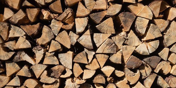 Le marché en volume des granulés de bois, qui était de 1,8 million de tonnes à l'hiver 2020/21 et de 2 millions de tonnes à l'hiver dernier, est estimé à 2,4 millions de tonnes pour l'hiver prochain.