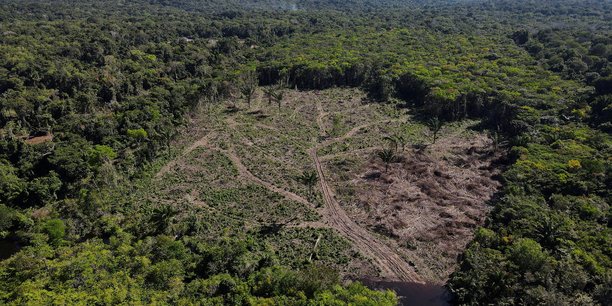 Sous la présidence de Jair Bolsonaro, la déforestation de la forêt amazonienne s'est accélérée de 70%.