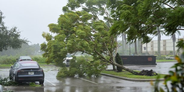 Les rafales de l'ouragan ian abattent de petits arbres et des feuilles de palmier en floride[reuters.com]