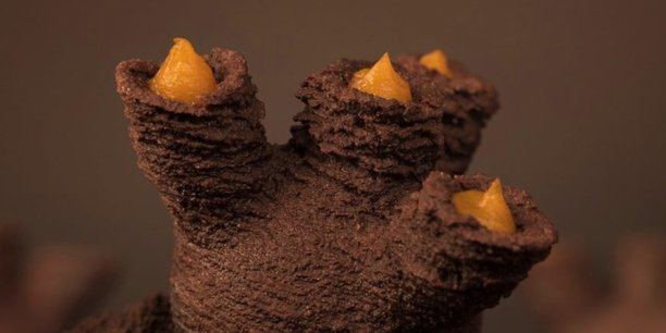 Corail, un gâteau en 3D réalisé par La Pâtisserie Numérique de Marine Coré-Baillais.