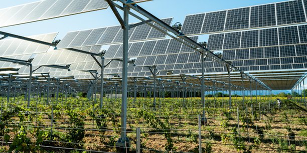 Ici en photo, le domaine de Nidolères, à Tresserre (Pyrénées-orientales), et la société Sun Agri ont installé dès 2018 4,5 hectares de structures agri-photovoltaïques dynamiques sous lesquelles ont été plantées des vignes.