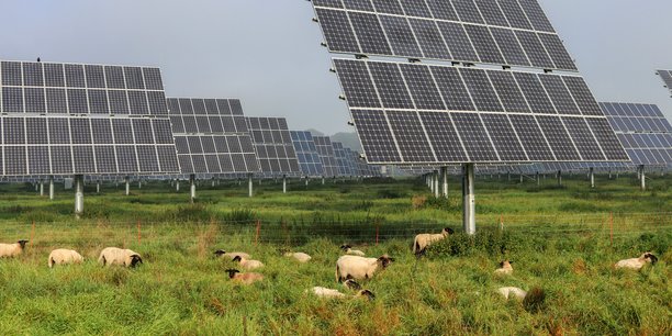 L'Inrae Nouvelle-Aquitaine propose d'organiser au plan national la R&D sur les installations de panneaux photovoltaïques sur la production agricole.