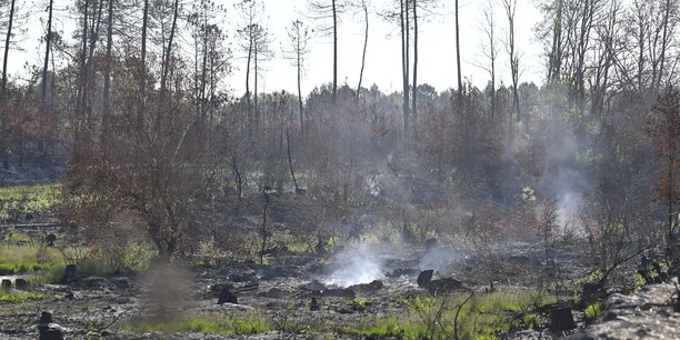 Le projet de centrale solaire Horizeo est situé à 20 km de Landiras et d'Hostens (en photo), ou les incendies de l'été ont brûlé des milliers d'hectares de végétation.