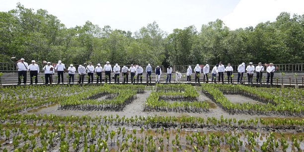 Les leaders des pays du G20 lors du sommet en Indonésie réunis dans une plantation de mangroves, à Bali, le 16 novembre.