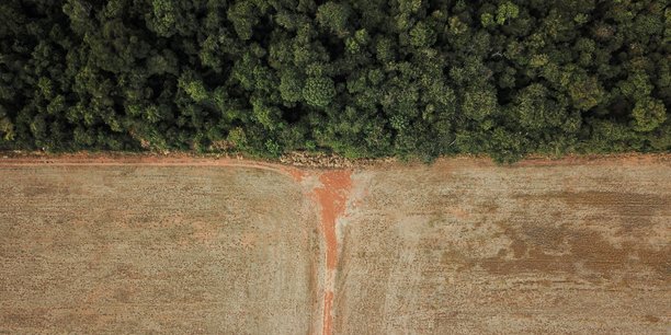 Vue aerienne la deforestation a la frontiere entre l'amazonie et le cerrado[reuters.com]