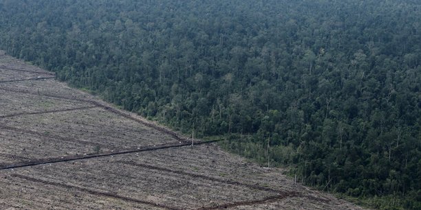 Photo d'archives : une vue de la deforestation sur l'ile de sumatra en indonesie[reuters.com]