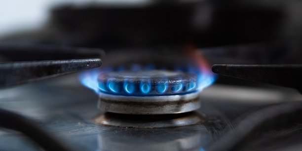 Le tarif réglementé de vente du gaz (TRVG) est issu du monopole d'Etat sur la commercialisation du gaz.