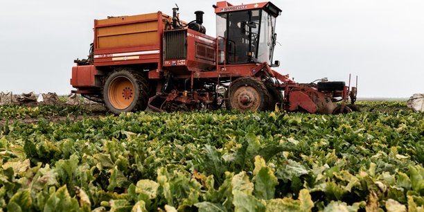 Les prix de vente des agriculteurs ont baissé de 9,4% sur un an en mai.
