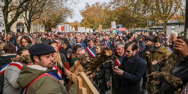 Manifestation des viticulteurs accompagnés de nombreux élus à Bordeaux le 6 décembre 2022.