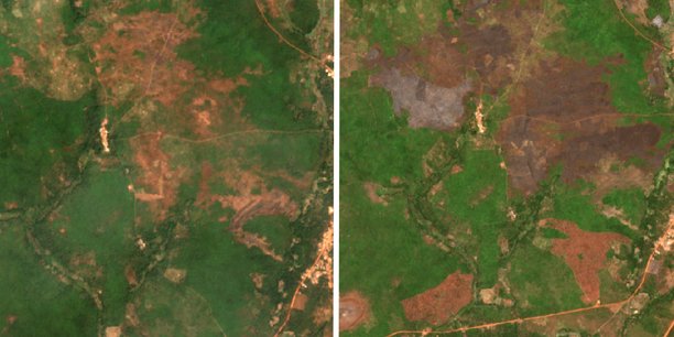 Un 'avant-après' de la déforestation d'une forêt observée par LTU dans la région de Conakry en Guinée.
