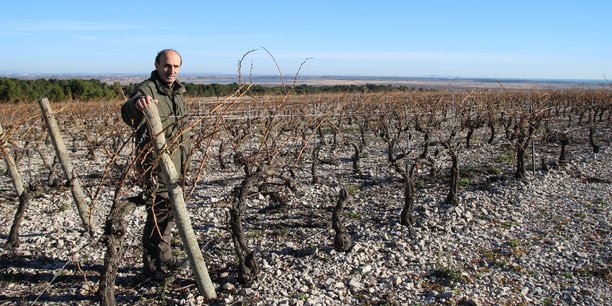 Philippe Chamayrac dans ses vignes en AOC La Clape : « On se demande comment on va tenir jusqu’au vendanges s’il ne pleut pas ».
