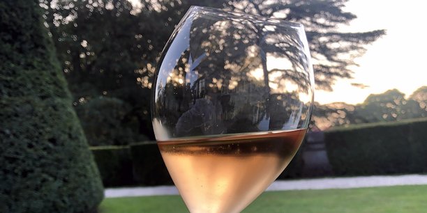 Face à la désaffection continue des consommateurs pour le vin rouge, le vignoble bordelais pivote doucement vers le blanc ou le rosé.