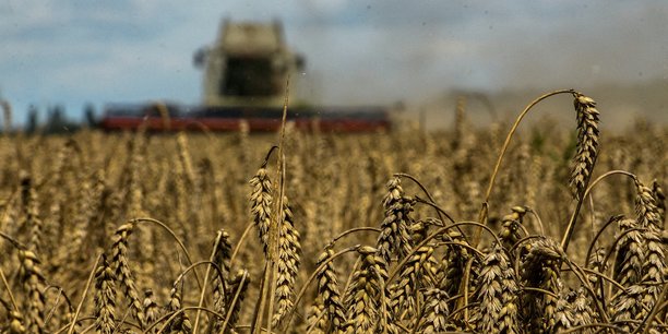 Les stocks de blés russes encore présents dans les fermes sont deux fois plus importants que la moyenne quinquennale et les exportations russes de blé en 2022-2023 pourraient être supérieures de 23% à celles de l'année précédente, exerçant une pression à la baisse sur les prix mondiaux.