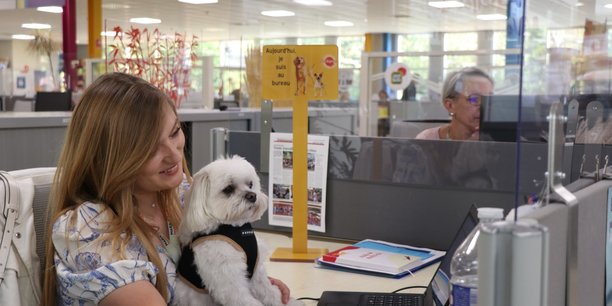 Mars Petcare figure parmi les quelque 200 entreprises et collectivités de l’Hexagone qui autorise leurs salariés à venir accompagnés de leur animal de compagnie. Cette faculté a déjà été adoptée par les mairies de Suresnes, Grenoble et Nice.