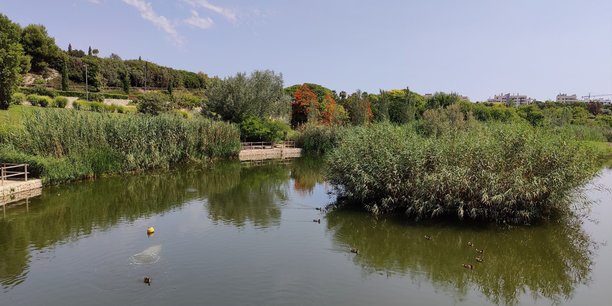 Le parc inondable de La Marjal à Alicante en Espagne a été bâti au sein de la ville soumise tant au stress hydrique qu'à des pluies torrentielles.
