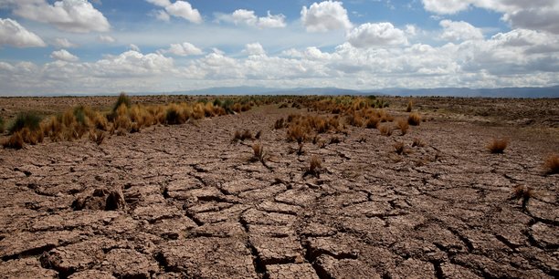 Selon le gouvernement, le niveau des réservoirs du pays - qui stockent l'eau de pluie afin de l'utiliser lors des mois plus secs - est tombé début juillet à 46,5% de leur capacité, soit 18 points de moins que la moyenne des 10 dernières années à cette époque de l'année.