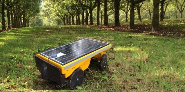 Les petits robots de Vitirover peuvent aussi bien intervenir dans les vignes, que les vergers, les parcs photovoltaïques, les bordures d'autoroutes ou de voies ferrées...