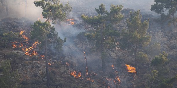 Une partie du territoire de la Grèce a été ravagée par les flammes, conséquence du changement climatique selon les scientifiques