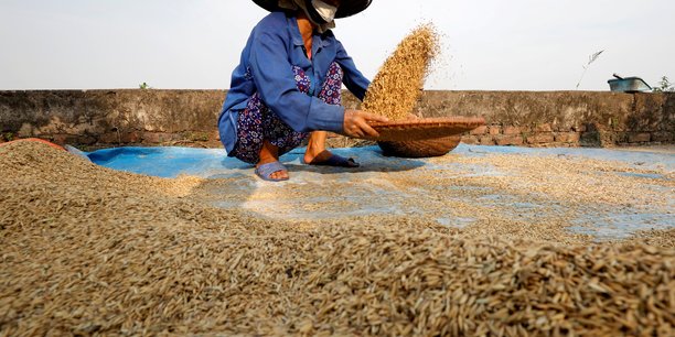 Avec la Chine et l'Inde, le Vietnam fait également partie des principaux producteurs de riz au monde (Photo d'illustration).