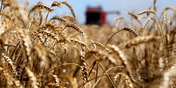 Le ministère américain de l'agriculture prévoit une saison 2023-2024 avec une production de 783,4 millions de tonnes de blé.
