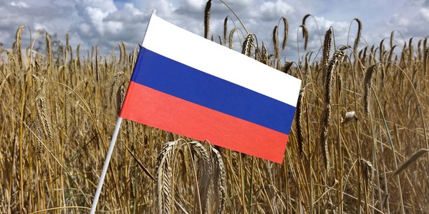 Il grano francese affronta la sfida del grano russo e ucraino