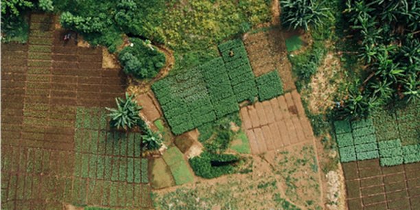 Mitsio Motu a réussi à réaliser des cartographies de chaînes de valeur agricole, notamment pastorales, dans certaines zones difficiles d'accès.