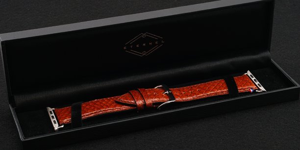 Éternel propose des bracelets pour montres connectées Apple Watch en cuir marin, obtenu à partir de peaux de poisson issues de l'industrie agroalimentaire et de la restauration.