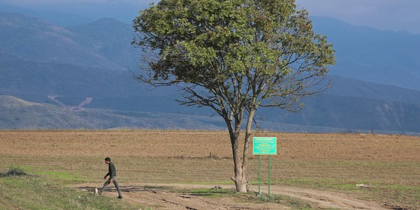 Un arbre sur la route menant a la region du haut-karabakh[reuters.com]