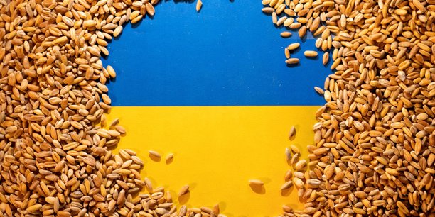 Photo d'illustration du drapeau ukrainien recouvert de grains[reuters.com]