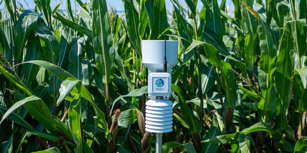 Weather Measures permet de fournir aux agriculteurs des données météorologiques et agronomiques ultra-locales et fiables, grâce à des capteurs, mais aussi des données météorologiques et satellites.