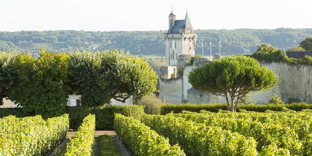 Face aux grosses machines de Bordeaux et de Bourgogne, les vins de Loire misent sur la complexité de leur terroir et leur fraîcheur pour se faire un nom à l’international.