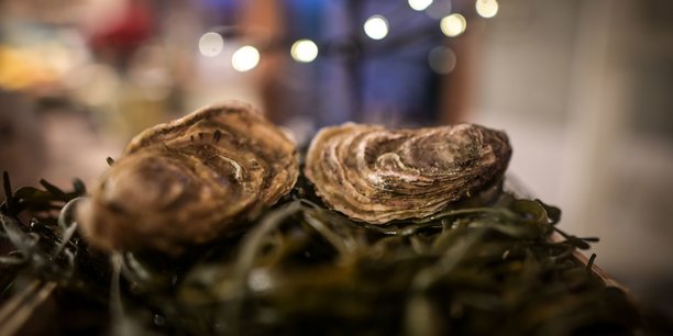 Les huîtres dont la commercialisation est interdite pour des raisons sanitaires sont situées notamment dans le bassin d'Arcachon (Gironde), ainsi que sur deux secteurs très limités du Calvados et de la Manche.