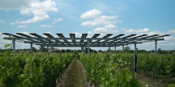 A Villenave-d'Ornon, le démonstrateur Vitisolar évalue l'impact des panneaux solaires sur la culture de la vigne.