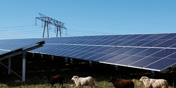 Photo d'un troupeau de moutons qui paissent pres des panneaux solaires et des pylones de lignes electriques a haute tension du parc photovoltaique installe par engie a marcoussis pres de paris[reuters.com]