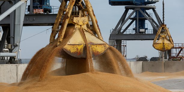Des cereales de ble chargees dans le cargo mezhdouretchensk dans le port de marioupol[reuters.com]