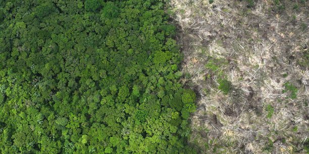 Des images de drone montrent la deforestation en amazonie bresilienne[reuters.com]