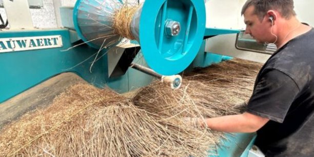 Le teillage est une opération mécanique qui permet de séparer les fibres textiles du bois et de l'écorce par broyage et battage.