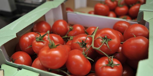 Tomates presentees a la vente sur un marche fermier dans la ville de hambourg, dans le nord de l'allemagne[reuters.com]