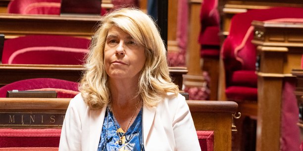 La ministre chargée des Collectivités et de la Ruralité, Dominique Faure, fait partie des plus de 210 candidats à la députation qui ont finalement renoncé au second tour pour faire barrage à l'extrême droite.