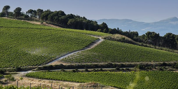 Le domaine Serra Ferdinandea.