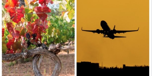 « Chaque seconde, 51 bouteilles d'Occitanie sont vendues dans le monde. »