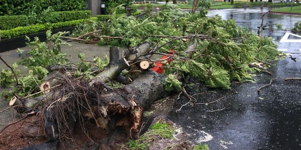 Le typhon Matmo fait un mort à Taiwan[reuters.com]