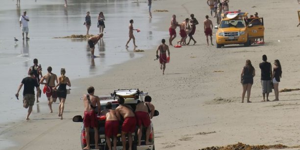 La foudre fait un mort sur la plage de Venice, à Los Angeles[reuters.com]