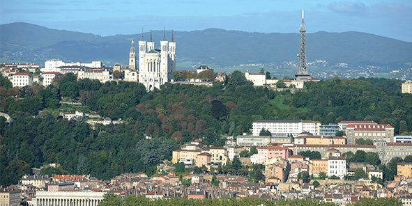 La Métropole de Lyon compte 90 000 arbres.