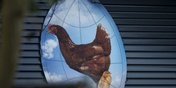 Troisième foyer de grippe aviaire aux Pays-Bas[reuters.com]